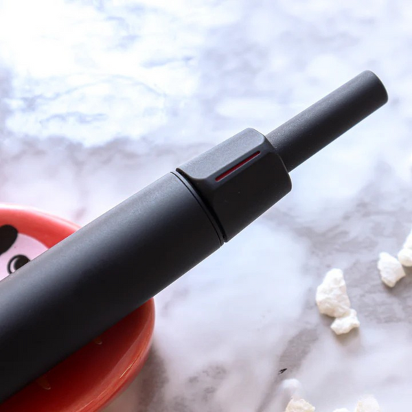 Load image into Gallery viewer, Pilot Vanishing Point Capless Luxury LS Fountain Pen - Black Matte 18K Gold Rhodium-plated Nib