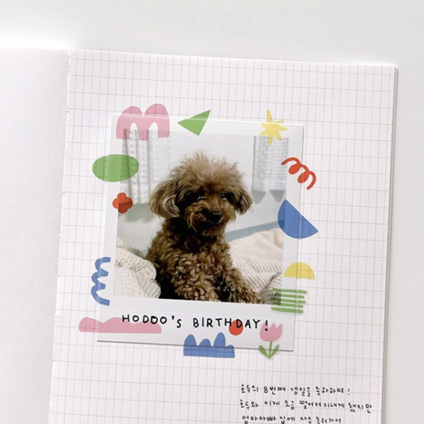 이미지를 갤러리 뷰어에 로드 , Suatelier Plain Deco Sticker - Plain.72