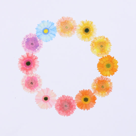 Load image into Gallery viewer, Bande Garbera Washi Roll Sticker, Bande, Washi Roll Sticker, bande-garbera-washi-roll-sticker-bda254, For Crafters, Tape, Washi Tape, Cityluxe