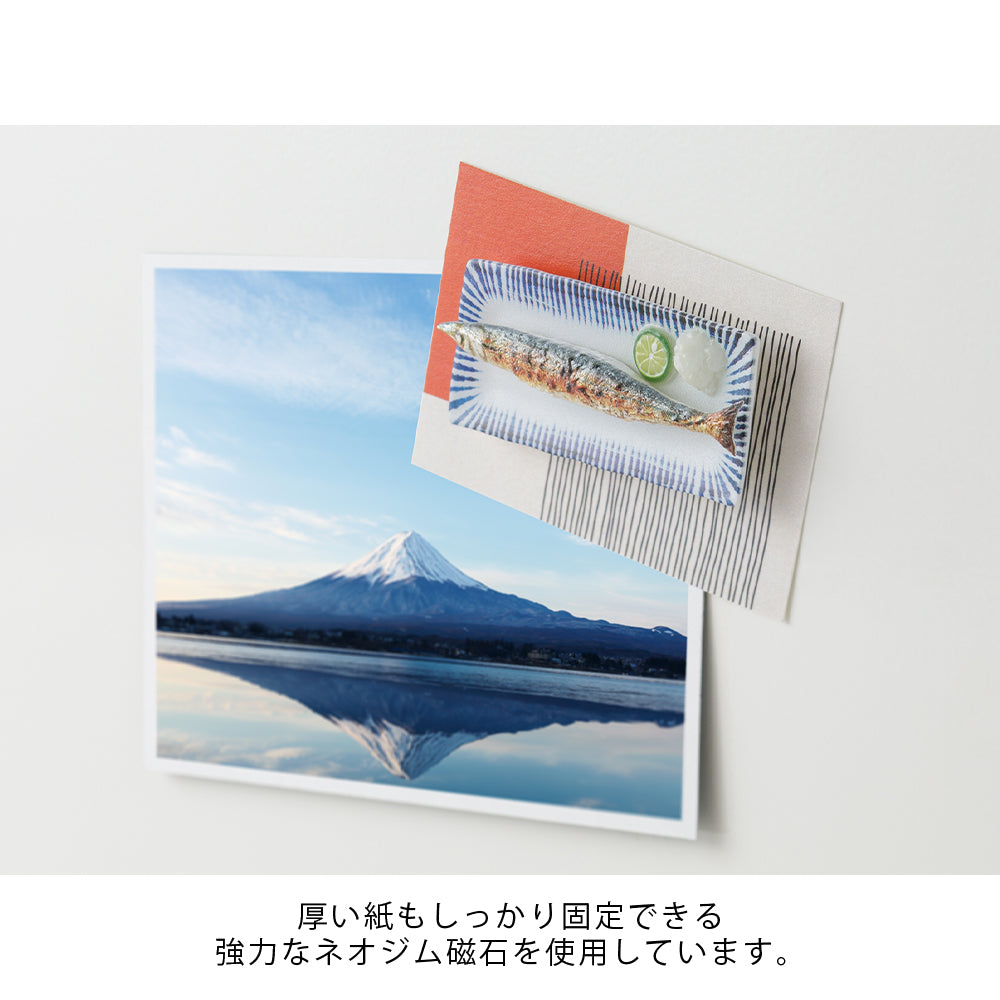 Midori Miniature Magnet in 1pc Samma — Midori magnet — premium stationery and lifestyle, at Cityluxe Singapore