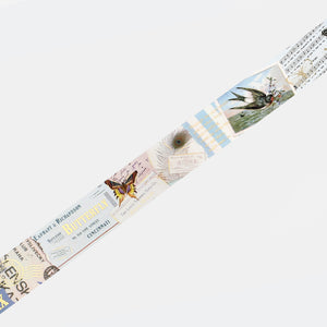 BGM Invitation to Romance Butterfly Masking Tape