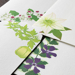 Midori Envelope - Summer Flower