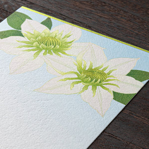 Midori Foil Stamping Postcard - Clematis