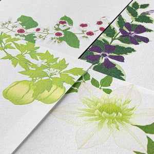 Midori Message Letter Pad - Summer Flower