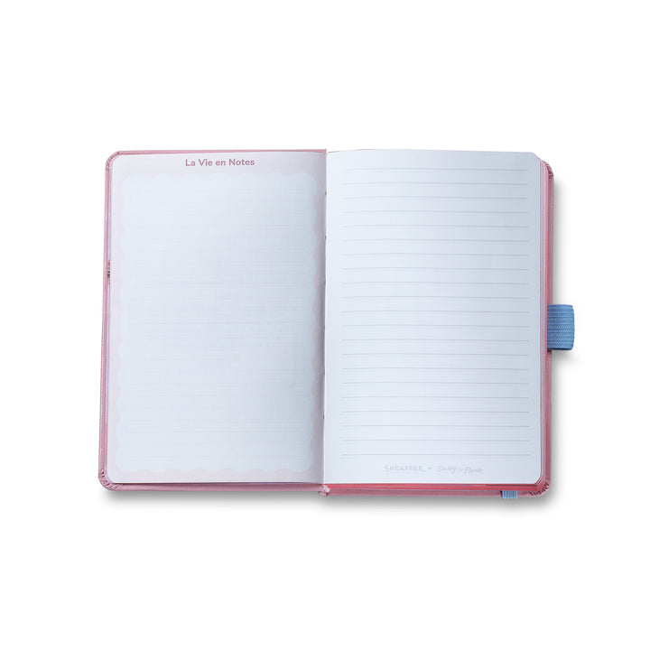 Sheaffer Gift Set ft. Emily in Paris Sentinel 321 Pink Matte Finish Ballpoint Pen with Chrome Trims and Small Hardbound Notebook