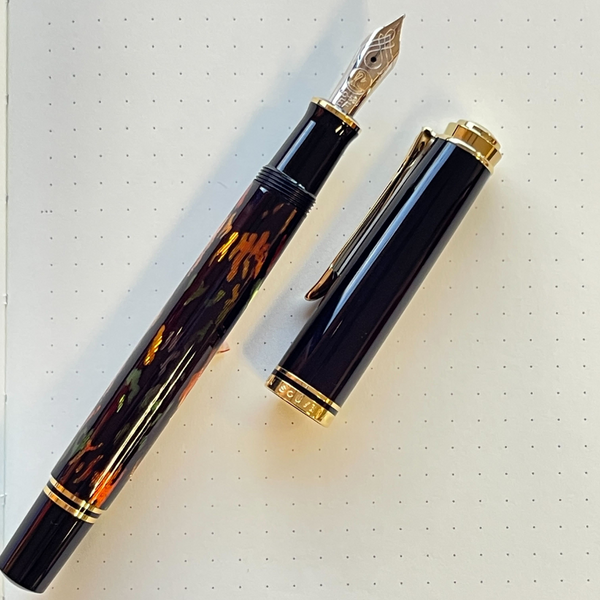 Load image into Gallery viewer, Pelikan Souveran Special Edition M600 Art Collection Fountain Pen - Glauco Cambon
