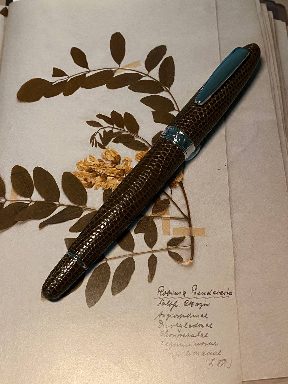 Luxo Limited Edition Leather Fountain Pen - Brown (Fine Nib)