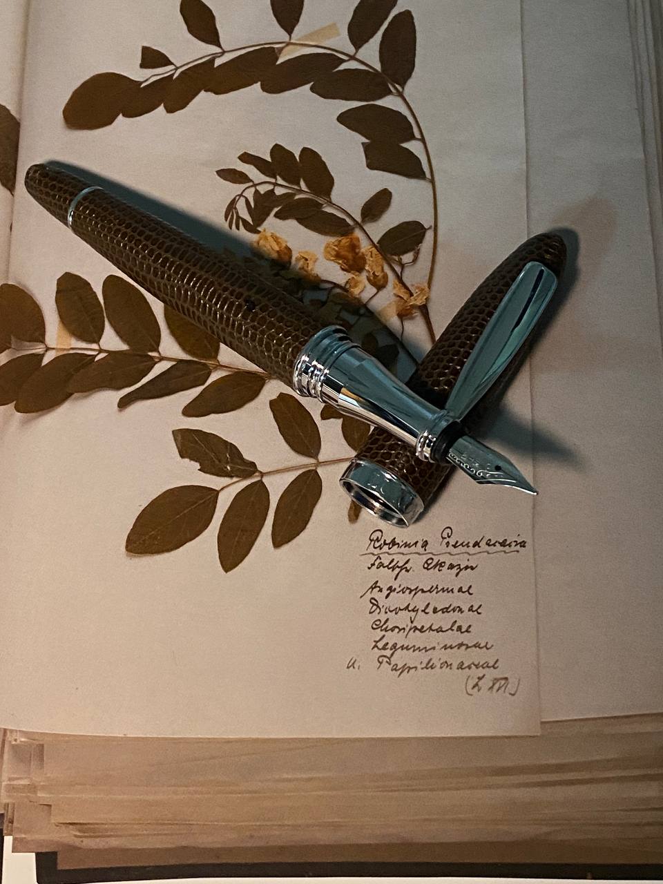 Luxo Limited Edition Leather Fountain Pen - Brown (Fine Nib)