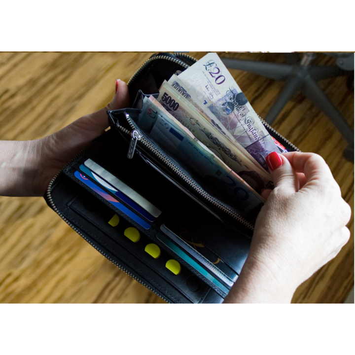 Acme Studio Wallet Organizer with Zip - Proust