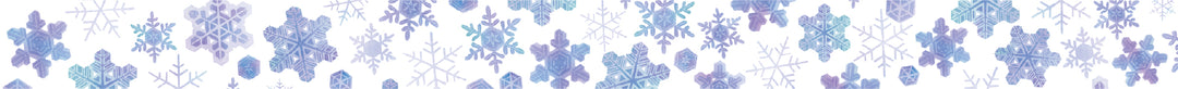 MT x Maruichikyu Washi Tape - Snowflake