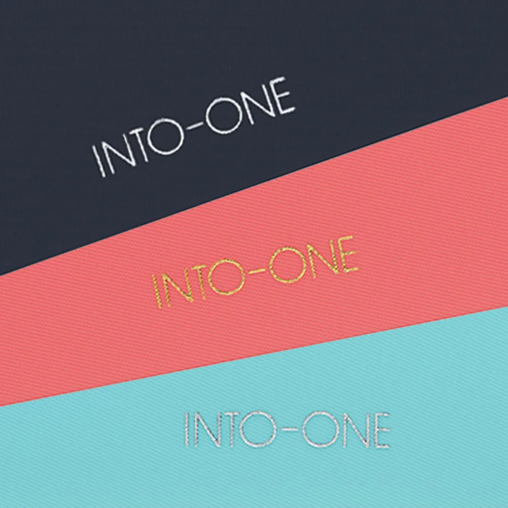 Maruman Mini size Binder Into-One Pink