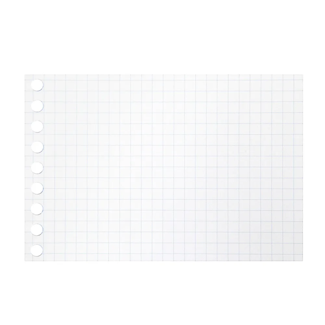 Maruman Mini size Loose Leaf 5mm Graph — detail view
