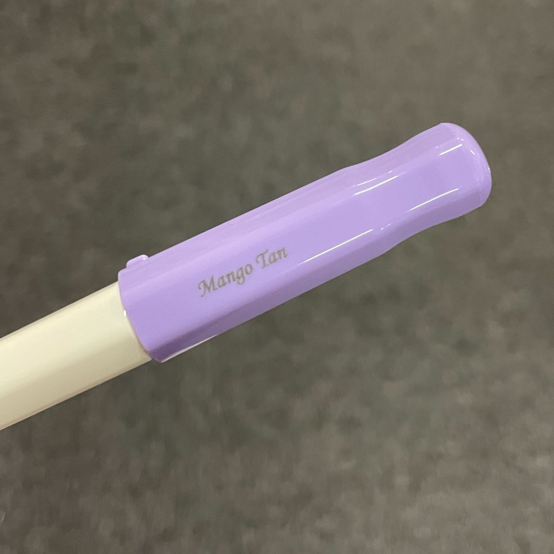 Personalized Name Engraving On Pilot Kakuno Fountain Pen in Soft Purple