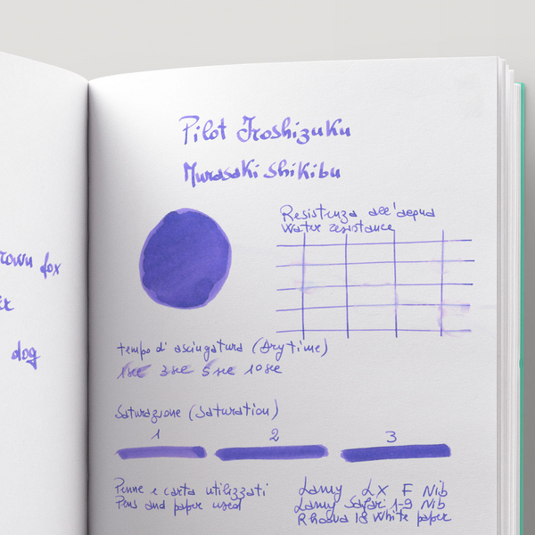 将图片加载到图库查看器，Pilot Iroshizuku 15ml Ink Bottle - Murasaki-shikibu
