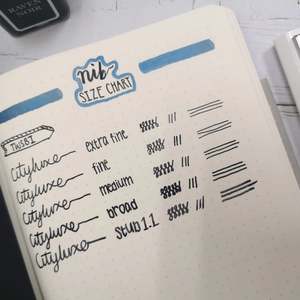 TWSBI ECO Fountain Pen – Plum w/ Onyx