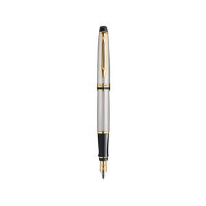 Waterman Expert3 Stainless Steel GT Fountain Pen