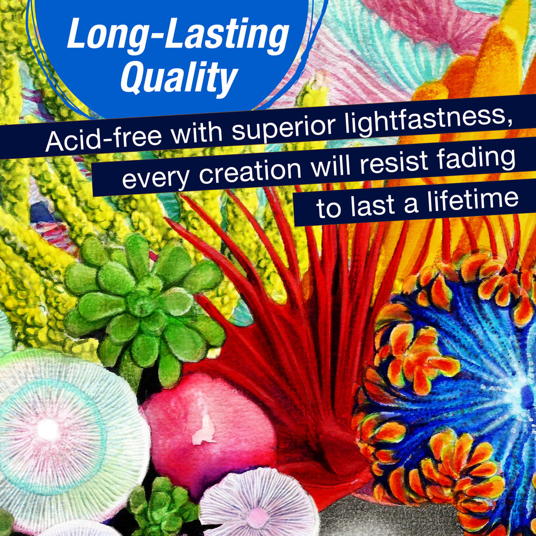 Faber-Castell Polychromos Artist Colour Pencil Set of 12