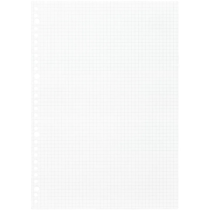 Maruman A4 Loose Leaf 5mm Graph 100 sheets — side view