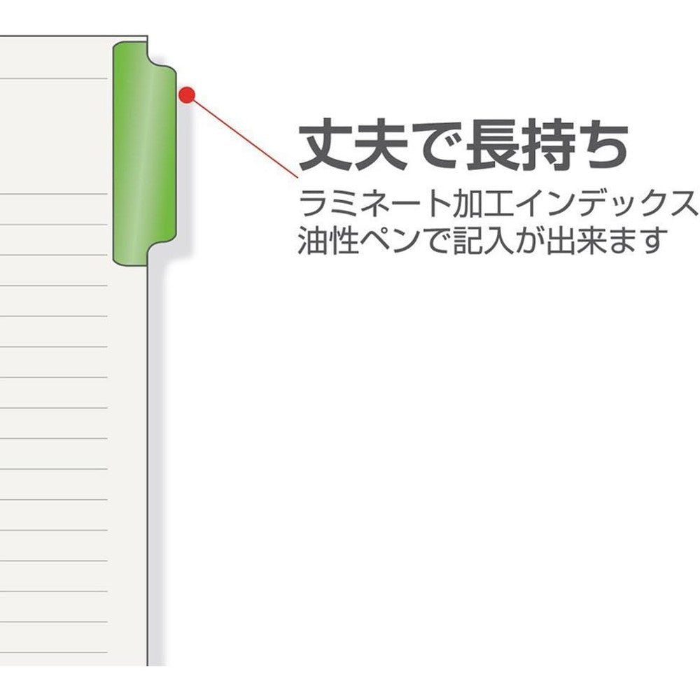 Maruman B5 Laminated Tab 8 index - view 4