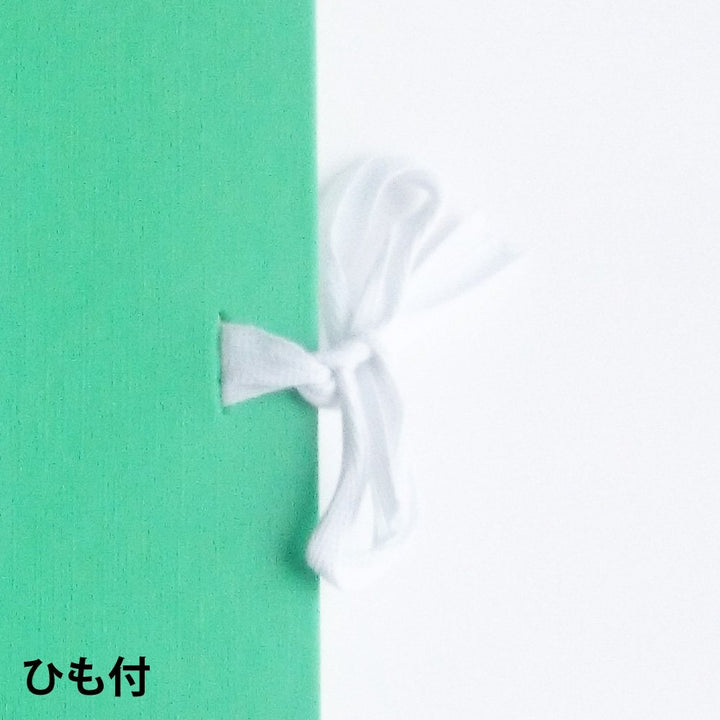 Maruman F0 Art Spiral sketchbook in light green, close-up of the ribbon tie closure