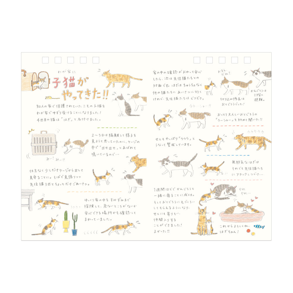 Midori Calendar Ring 2026 (M) – Cat, a freestanding desk calendar with soft, hand-drawn illustrations by Sayo Koizumi, depicting playful and cozy scenes of cats throughout the year.