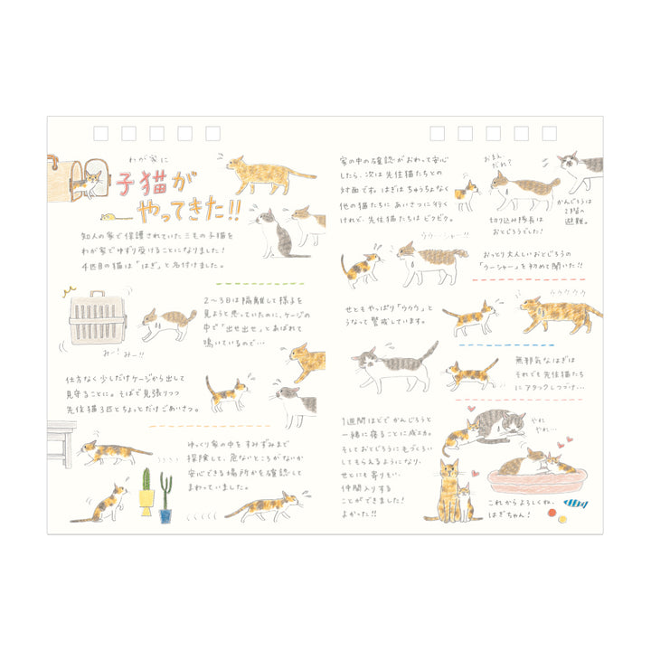 Midori Calendar Ring 2026 (M) – Cat, a freestanding desk calendar with soft, hand-drawn illustrations by Sayo Koizumi, depicting playful and cozy scenes of cats throughout the year.