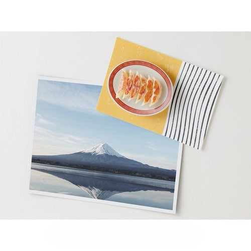 Midori Miniature Magnet - Gyoza — in use