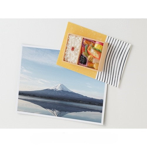 Midori Miniature Magnet - Makunouchi Bento — in use