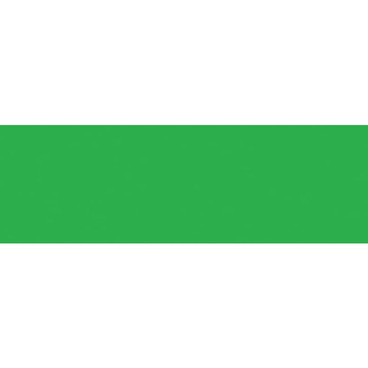MT Basic washi tape in Green, 15mm x 7m, flat colour swatch of the tape