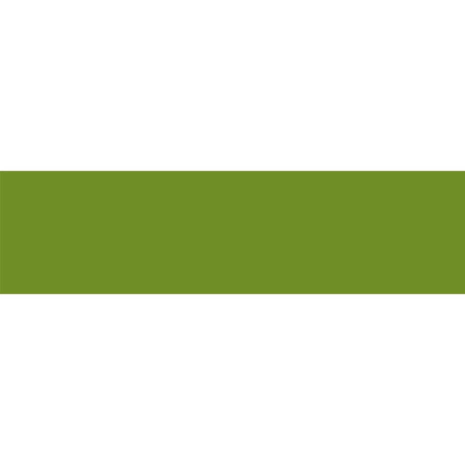 MT Basic washi tape in Matte Olive Green, colour swatch strip showing the olive green shade