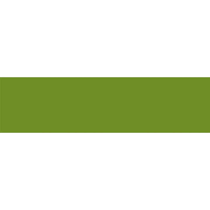 MT Basic washi tape in Matte Olive Green, colour swatch strip showing the olive green shade