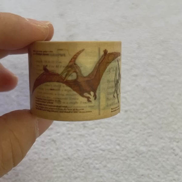 Load and play video in Gallery viewer, MT EX Washi Tape - Encyclopedia Dinosaur
