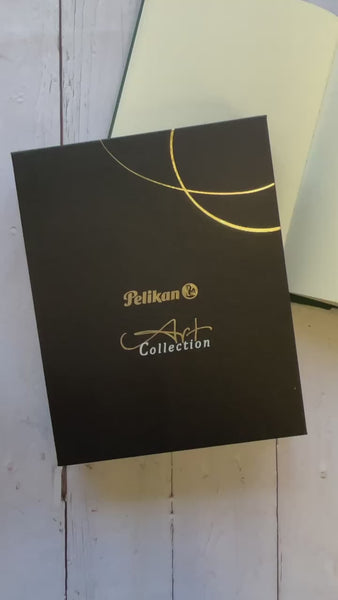 Load and play video in Gallery viewer, Pelikan Souveran Special Edition M600 Art Collection Fountain Pen - Glauco Cambon
