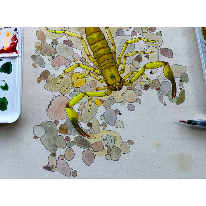 Sakura Koi Water Colors – lifestyle