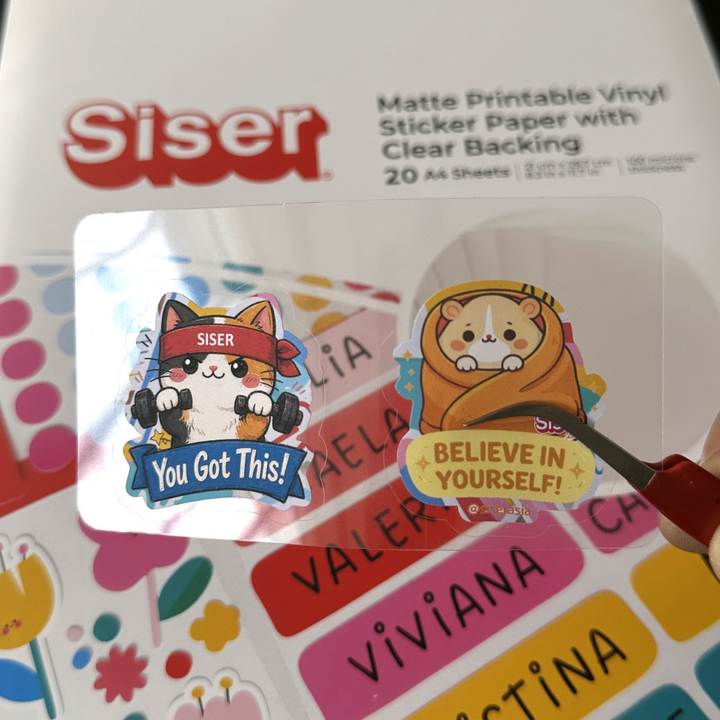 Siser Matte Printable Vinyl Sticker Paper Clear Liner