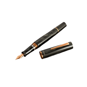 TWSBI Obsidian Fountain Pen