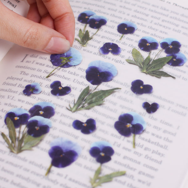 Load image into Gallery viewer, Appree Pressed Flower Sticker Pansy, Appree, Sticker, appree-pressed-flower-sticker-pansy, Blue, Purple, Cityluxe
