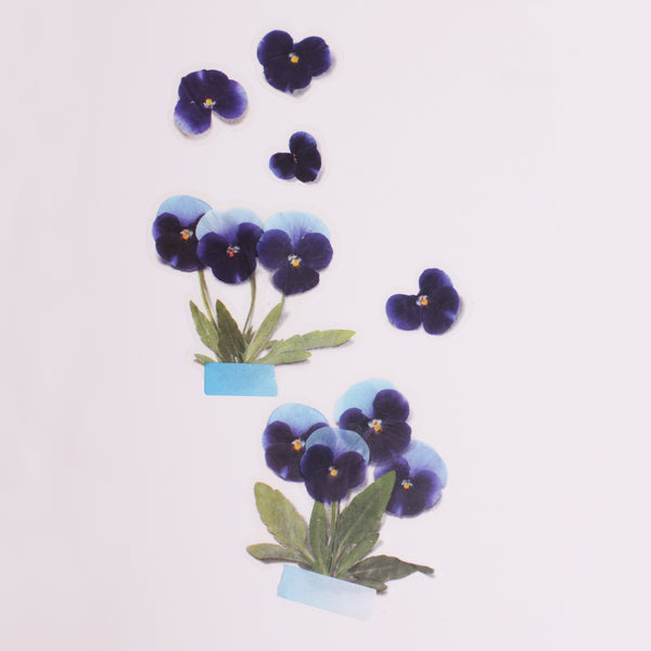 이미지를 갤러리 뷰어에 로드 , Appree Pressed Flower Sticker Pansy, Appree, Sticker, appree-pressed-flower-sticker-pansy, Blue, Purple, Cityluxe
