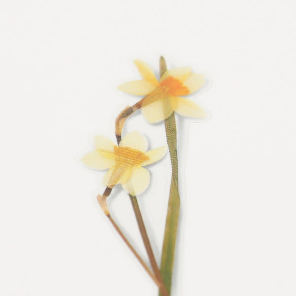 Load image into Gallery viewer, Appree Pressed Flower Sticker Narcissus, Appree, Sticker, appree-pressed-flower-sticker-narcissus, Yellow, Cityluxe
