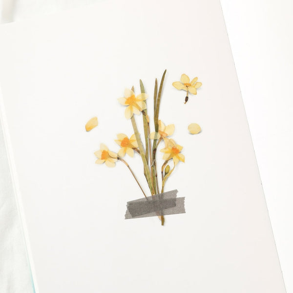 画像をギャラリービューアに読み込む, Appree Pressed Flower Sticker Narcissus, Appree, Sticker, appree-pressed-flower-sticker-narcissus, Yellow, Cityluxe
