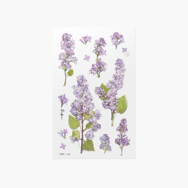 Load image into Gallery viewer, Appree Pressed Flower Sticker Lilac, Appree, Sticker, appree-pressed-flower-sticker-lilac, Purple, Cityluxe
