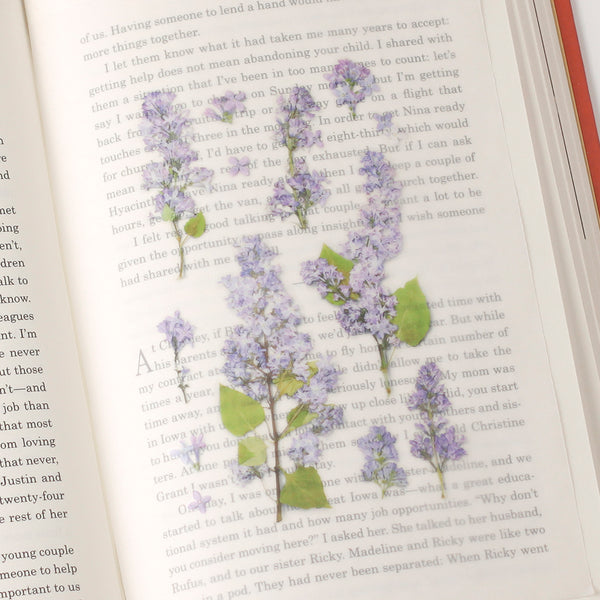 画像をギャラリービューアに読み込む, Appree Pressed Flower Sticker Lilac, Appree, Sticker, appree-pressed-flower-sticker-lilac, Purple, Cityluxe
