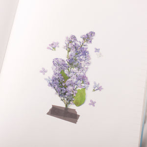 Appree Pressed Flower Sticker Lilac, Appree, Sticker, appree-pressed-flower-sticker-lilac, Purple, Cityluxe