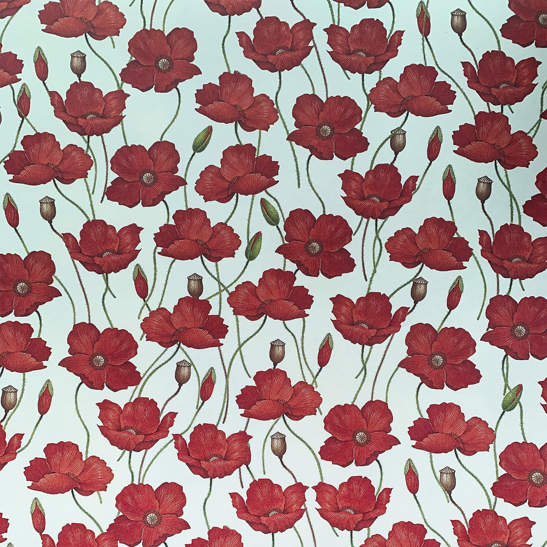 Rossi Decorative Paper — with packaging