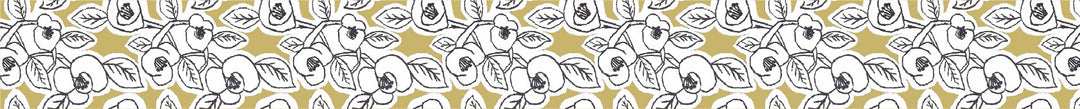 MT Tape 100th Anniversary Sets in Mina Perhonen — MT Tape washi tape — decorative Japanese paper tape for journaling and craft, at Cityluxe Singapore