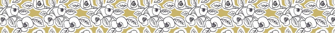 MT Tape 100th Anniversary Sets in Mina Perhonen — MT Tape washi tape — decorative Japanese paper tape for journaling and craft, at Cityluxe Singapore
