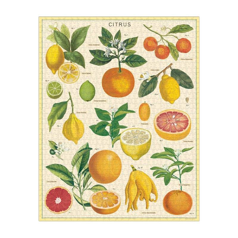 Cavallini Puzzle Citrus, Cavallini, Puzzle, cavallini-puzzle-citrus, , Cityluxe