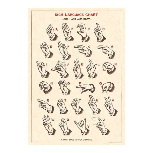 Cavallini Wrapping Paper Sign Language Chart — front view