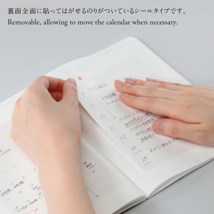 Stalogy Editor&
