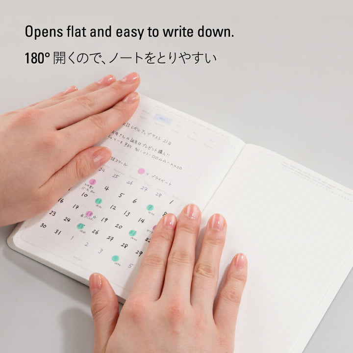 Stalogy Editor&